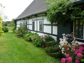 Chestnut Cottage in Rantzau